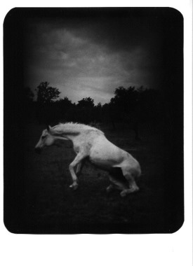 Giacomo Brunelli