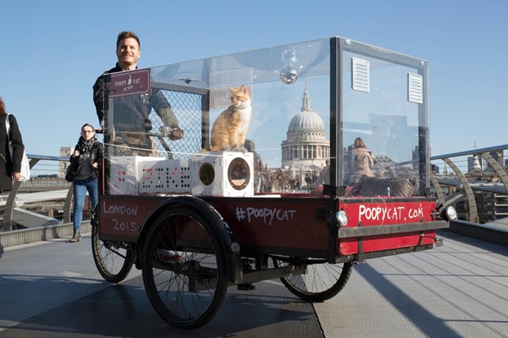 EDITORIAL USE ONLY Poopy Cat Founder, Thomas Vles rides across Millennium Bridge in London with his cats Mushi and Cheesy after cycling from Amsterdam on his custom-made Bakfiets ÔPoopy MobileÕ, to officially launch BLOCKS, the Dutch brandÕs latest product in the UK. PRESS ASSOCIATION Photo. Picture date: Monday April 27, 2015. The pet brand creates disposable cardboard litter trays and BLOCKS, which are modular cardboard structures that can be assembled into playhouses. With a specific focus on sustainability, convenience and fun the brand has already grown in nine international markets since December 2014. Photo credit should read: David Parry/PA Wire