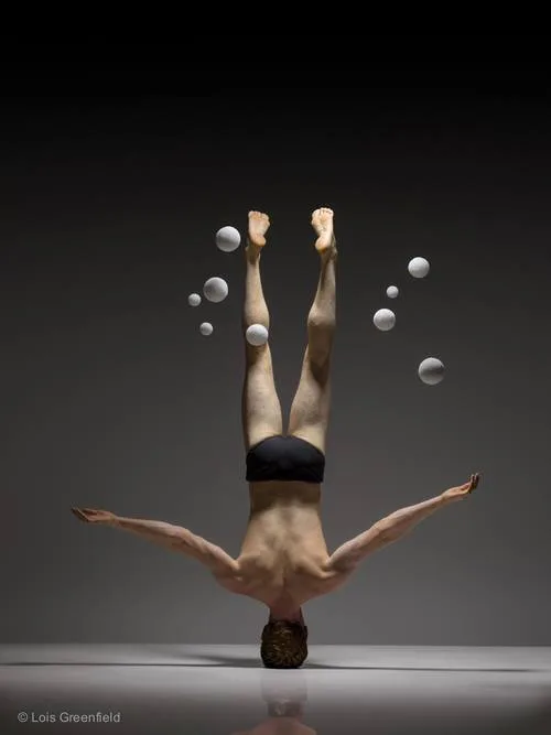 12278772 1001546309917685 6024890484728172988 n