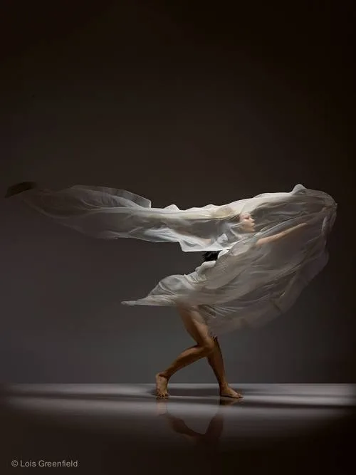 12299169 1001546436584339 3454159236243419486 n