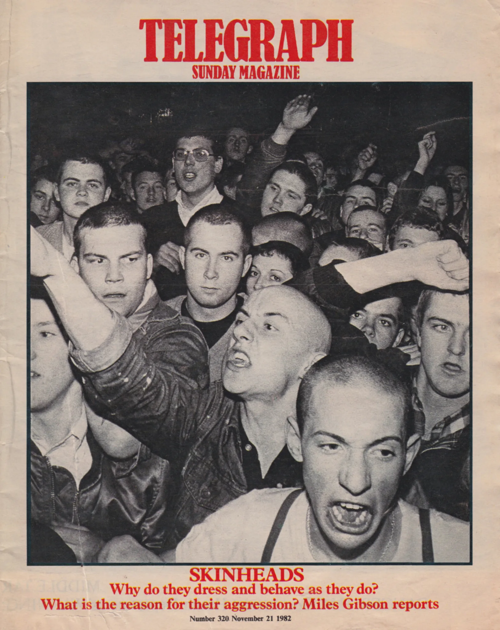 See a Different Side of Culture with Skinhead: An Archive