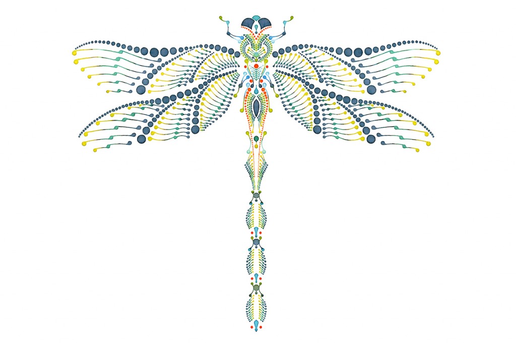 dragonfly_dotting_ornament_illustration_final_g_72-1024x682