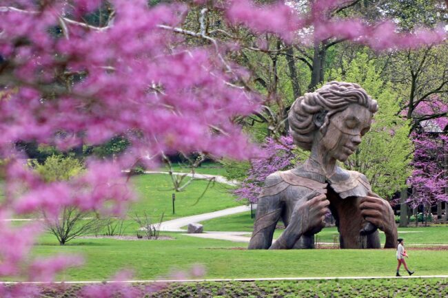 'Hallow' created by Daniel Popper. Photo from The Morton Arboretum.