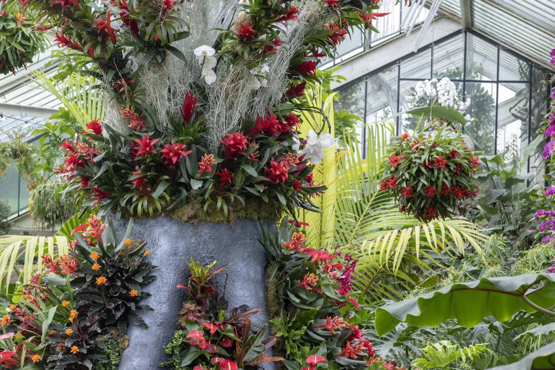 Annual Orchid Festival 2023 1 84921047 10156726824711994 7655148209999708160 n