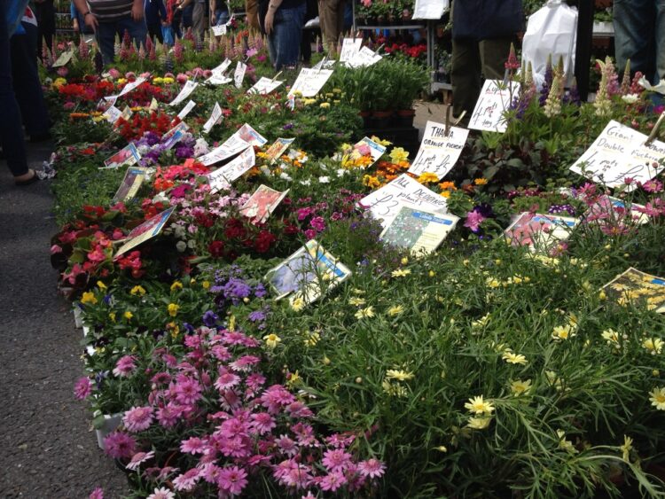 A vibrant flower stall at Shoreditch markets, showcasing colorful blooms and a lively atmosphere for local shoppers.