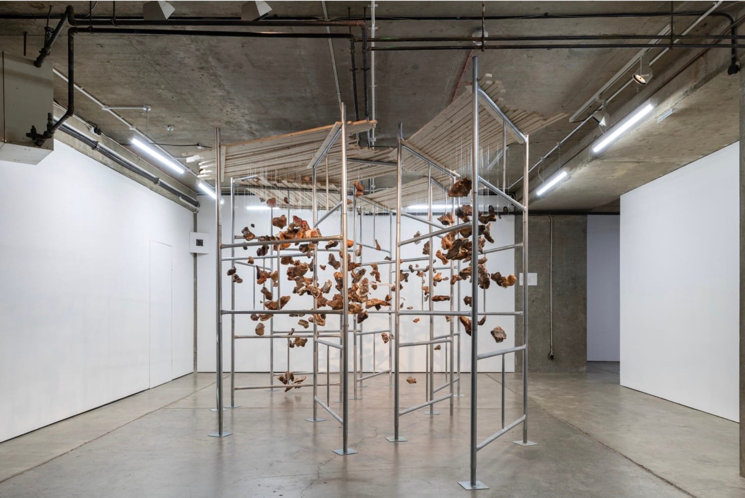 Sonia E. Barrett on Colonial Histories, Healing, and New Futures 9 Here Tell Quantum Black 2019 Diaspora Pavilion 2019 flint scaffolding birch 1