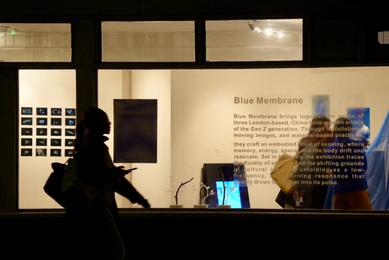 Breathing Between Membranes: Perception, Precarity, and Resonance in "Blue Membrane" 6 Blue Membrane exhibition installation view with sculptural forms and ambient lighting in Hackney gallery