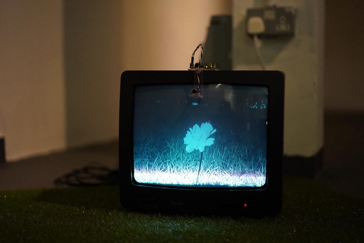 Bobby Zhaocheng Xiong 2