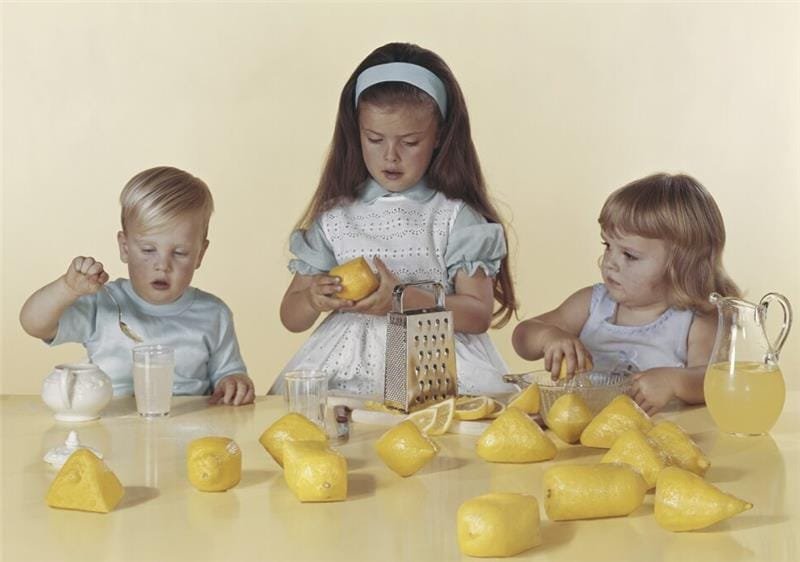 Weronika Gesicka Bessa Vugo from the ‘Encyclopaedia series 2023 2025. Courtesy of the artist and Jednostka Gallery