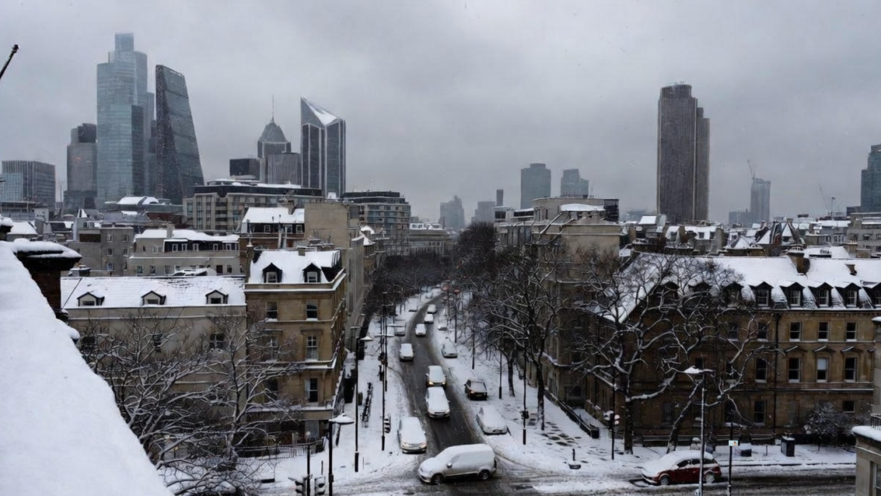 Micaela Lattanzio: Restless Nature Art Series