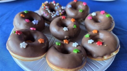 A tray of chocolate doughnuts