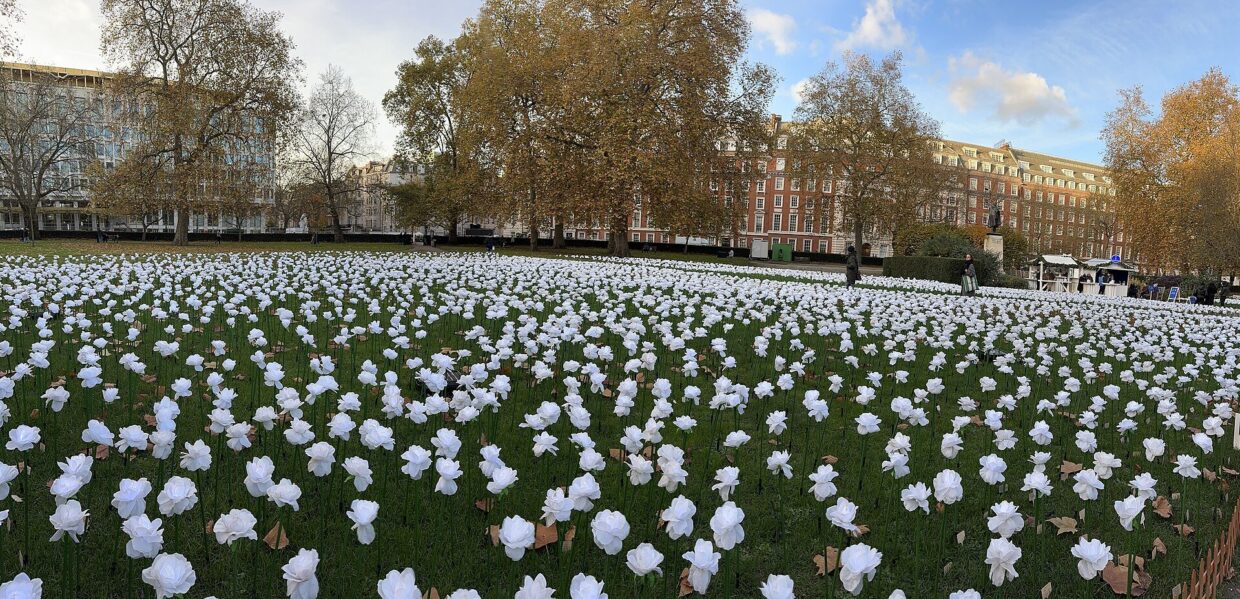 Illuminated flowers of the Ever After Garden in Grosvenor Square